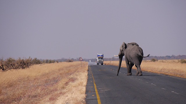 Botswana Food