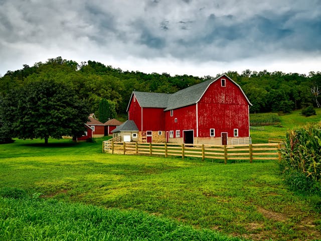 Illinois Food