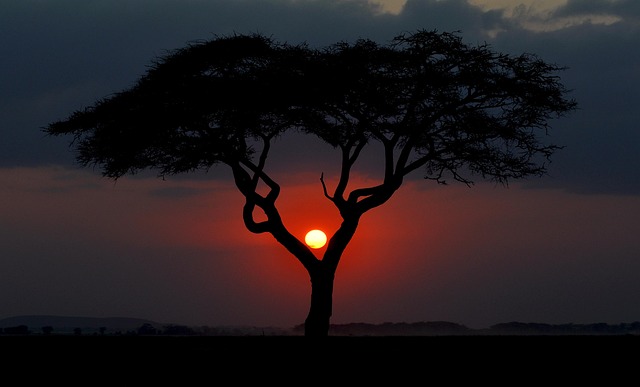 Kenya Food