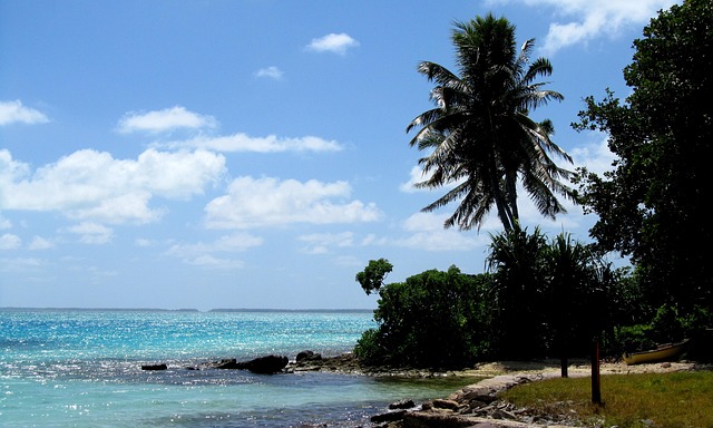 Kiribati Savory Snacks