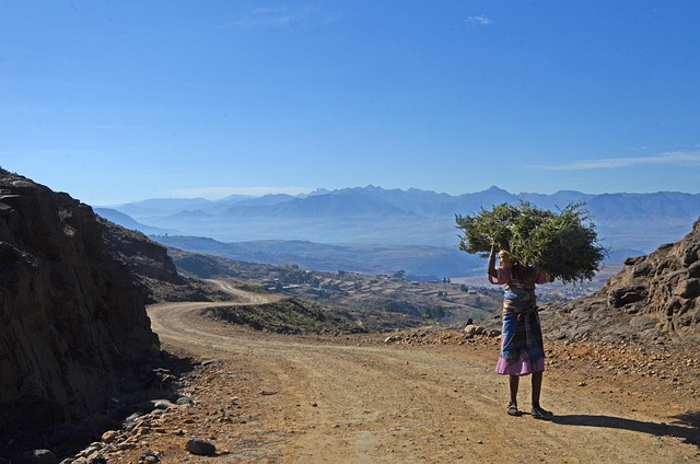 Lesotho Sweet Snacks