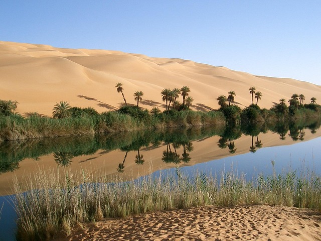 Libya Desserts