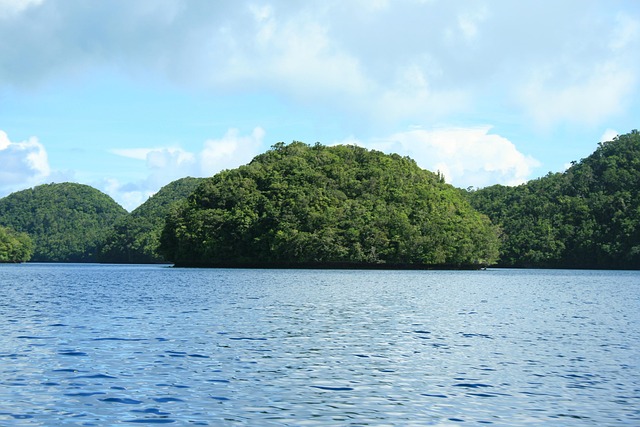 Palau Desserts