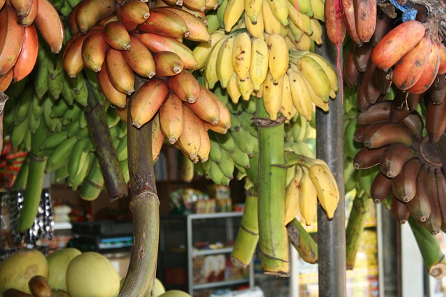 Sri Lanka Food