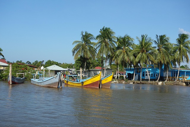 Suriname Desserts