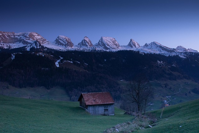 Switzerland Desserts